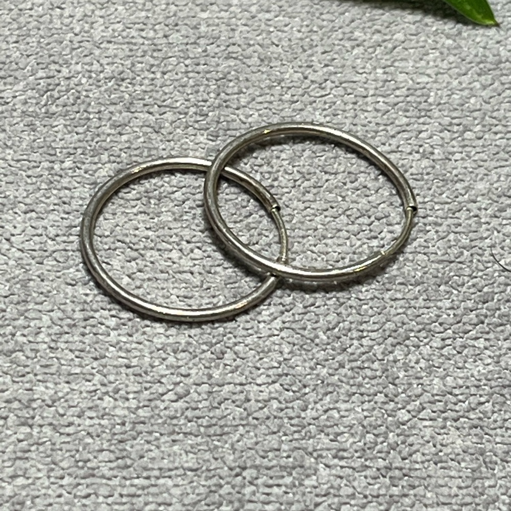 Chic Silver Hoop Earrings